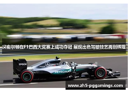 汉密尔顿在F1巴西大奖赛上成功夺冠 展现出色驾驶技艺再创辉煌