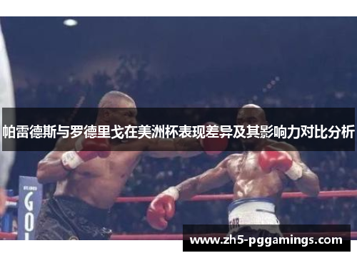 帕雷德斯与罗德里戈在美洲杯表现差异及其影响力对比分析