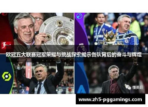 欧冠五大联赛冠军荣耀与挑战探索揭示各队背后的奋斗与辉煌