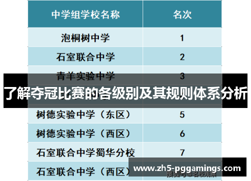 了解夺冠比赛的各级别及其规则体系分析