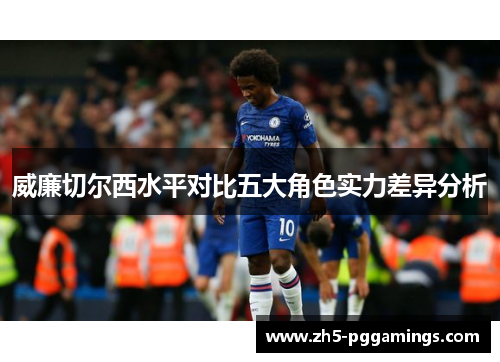 威廉切尔西水平对比五大角色实力差异分析